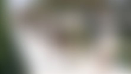 Dior Couture’s Autumn Winter 2026/27 collection celebrates Parisian life 