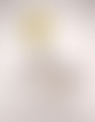 Airborne Snotty Vases by Marcel Wanders