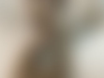 ペットと介護の関係