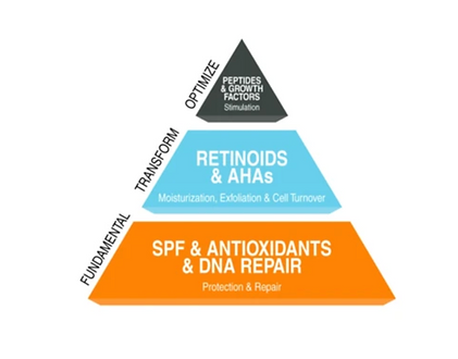 A pyramid displaying 3 fundamental pillars of a healthy skin care regiman. The bottom is the Fundamental Level with SPF & Anitoxidants & DNA Replair. The next layer is Retinoids & AHAs which transform. At the top, is peptides and growth factors to stimulate optimization.