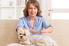 animal-reiki-2.jpg