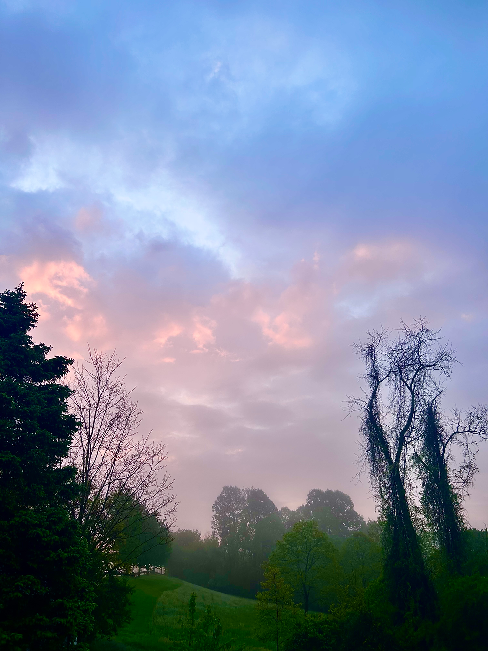 “The light doesn’t rush. It waits for the moment… then finds its way through.”