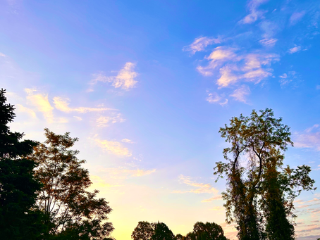 On Grief and Grieving May 2026 Continued