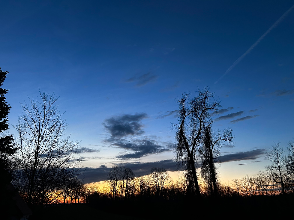 The morning comes to life...