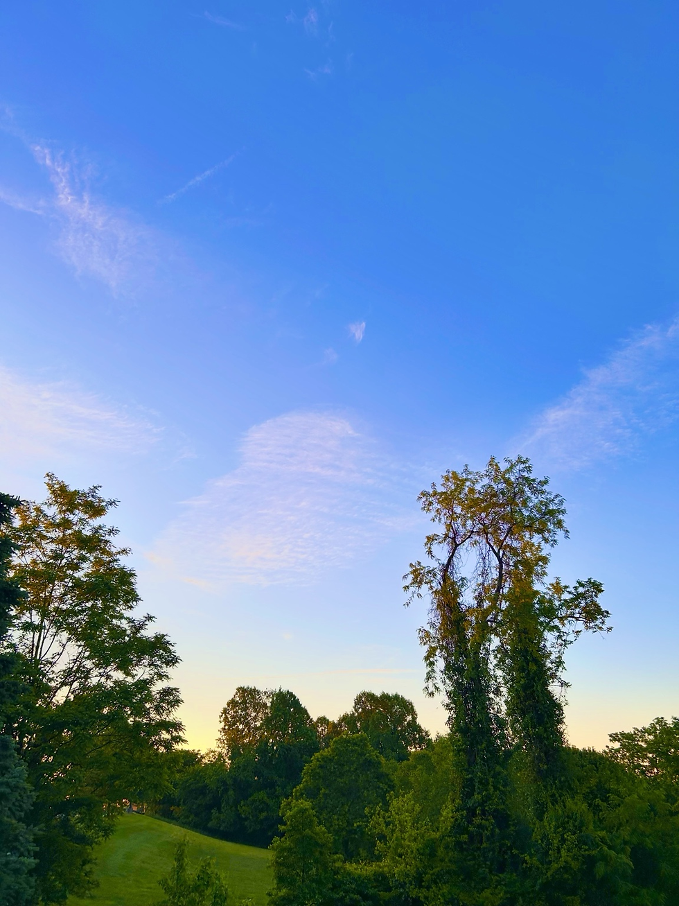 The first morning clouds were delicate and subtle, little more than brushstrokes across an otherwise pristine canvas of blue.