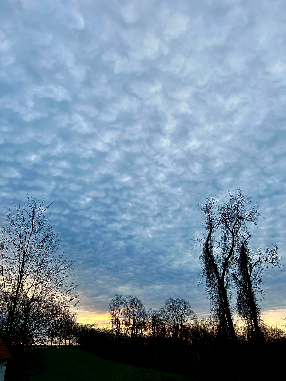 The horizon almost immediately took a turn, but not the direction I was hoping for...