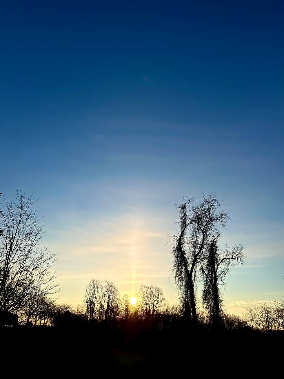 Beyond the portal, the sun lifts itself above the trees once again...