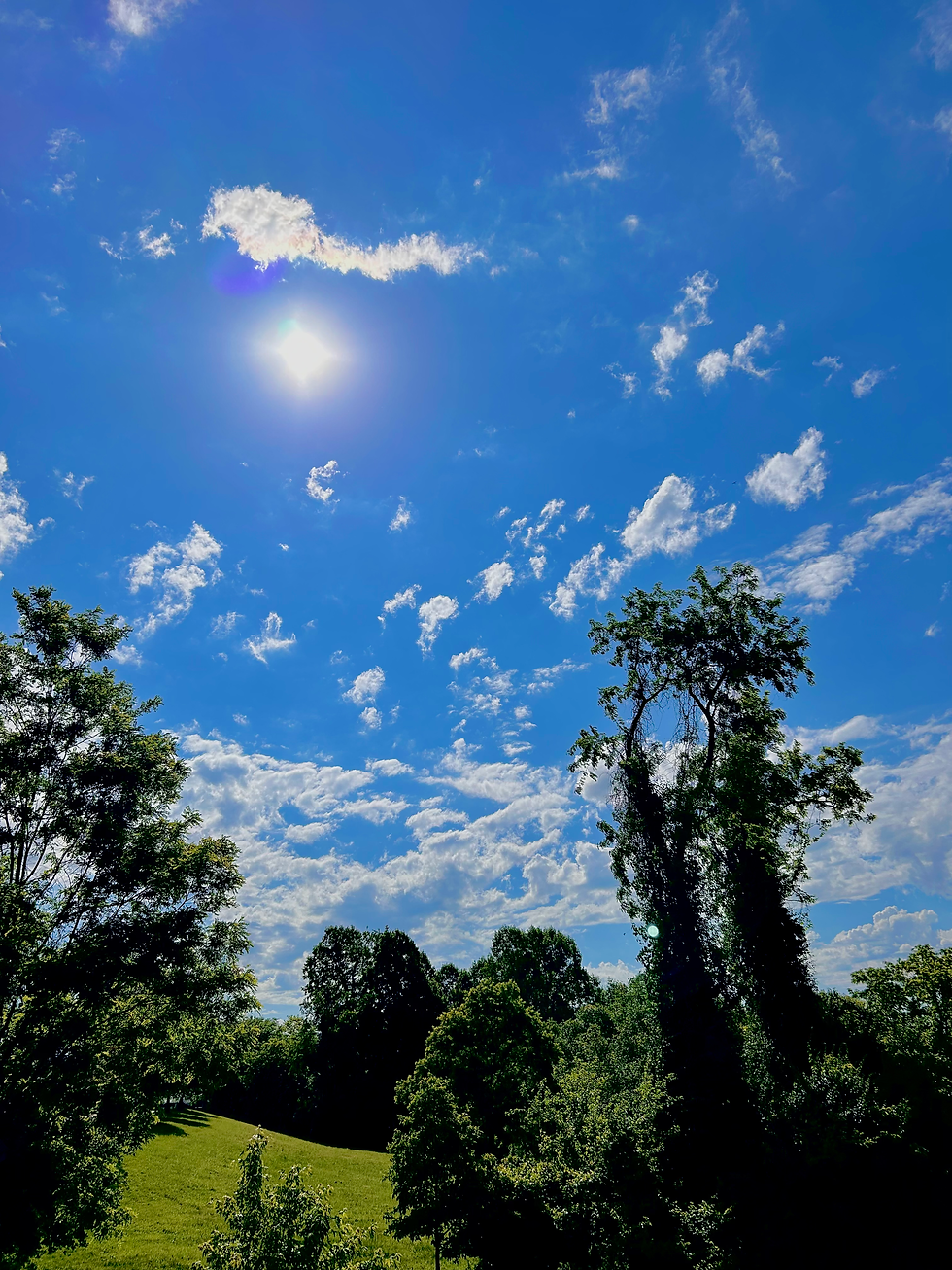 The sky has become a masterpiece of contrasts.