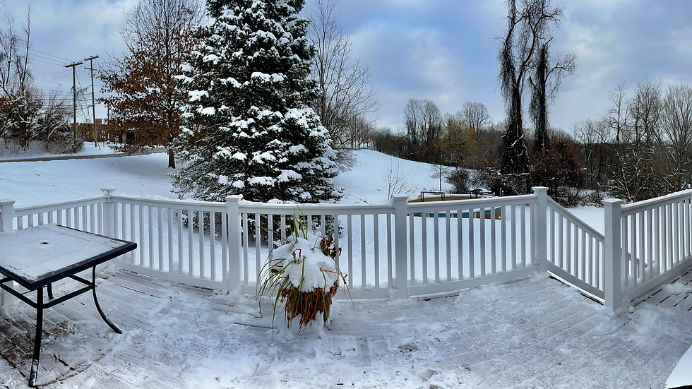 Sincere thanks to my son-in-law for relieving my deck of it's unrequested winter blanket...