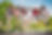 PAMPA ET CHARDON - WEDDING PLANNER ILE DE RE - 4.jpg