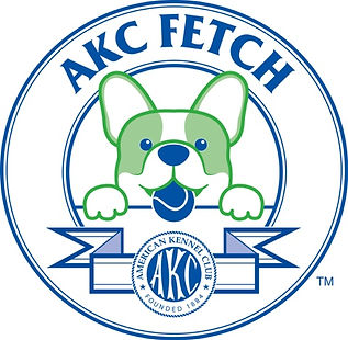 fetch logo