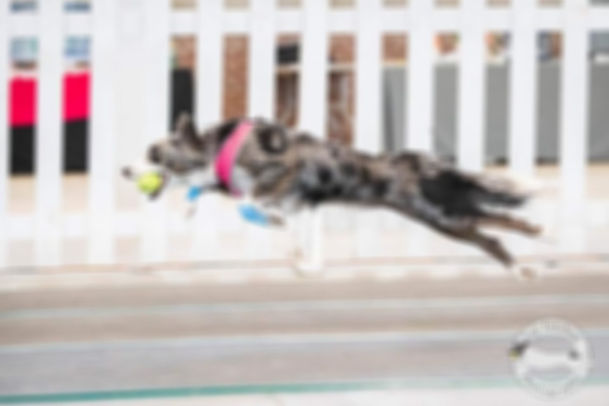 blurred image