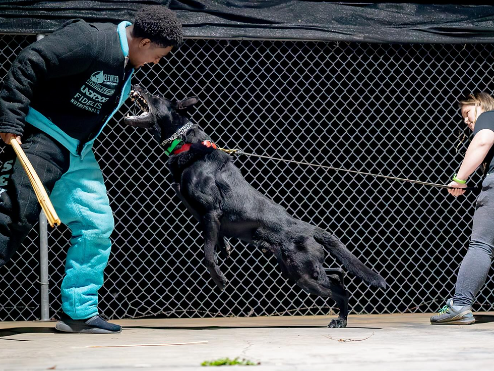Chris Sykes Bitework Seminar