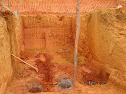 REDE SOL 102 (Large)