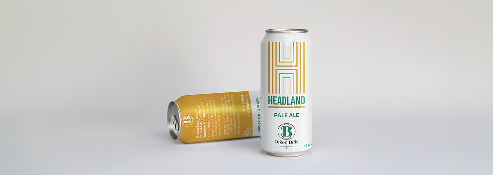 Soda Can Mockup3_3_Headland.png