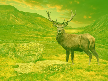 Our planet earth