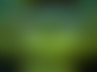 Your vibe attracts your tribe