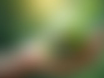 Happiness and sustainability