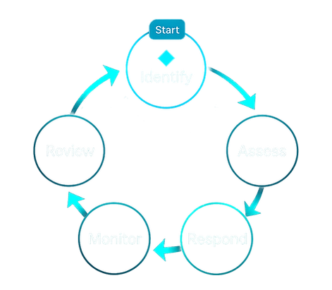 AI Augmented Risk Management