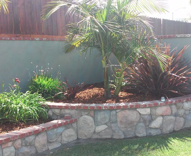 Lawn Maintenance and Tree Care in Ventura CA