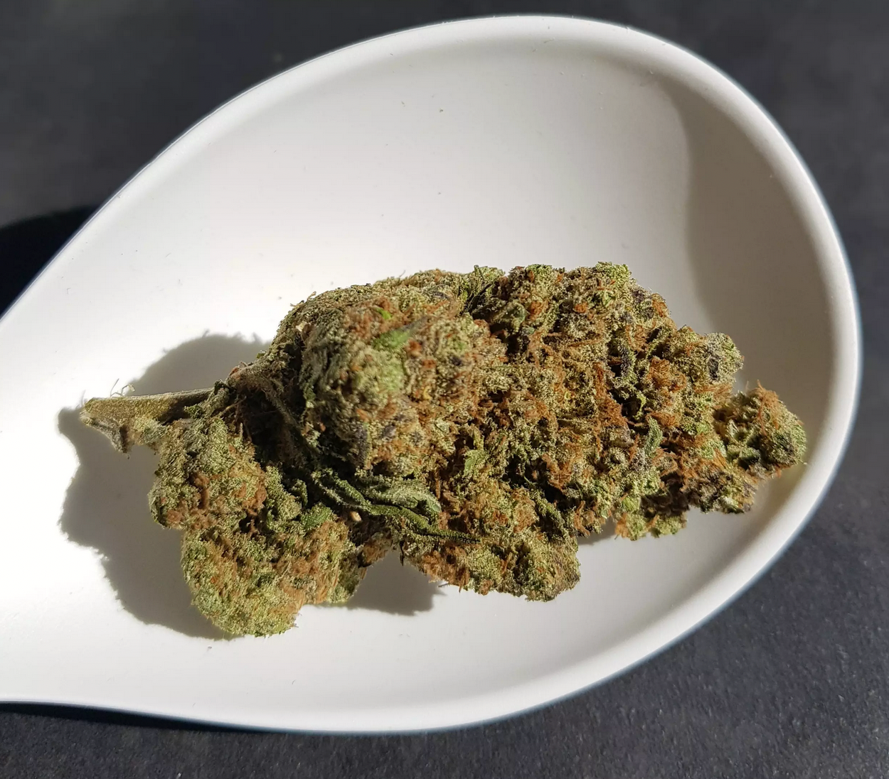 Cherry Lemonade CBD – Indoor