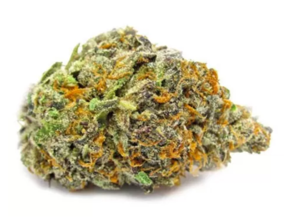 Gelato CBD - Indoor