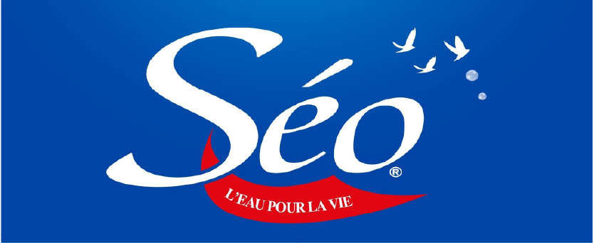 Logo eau seo