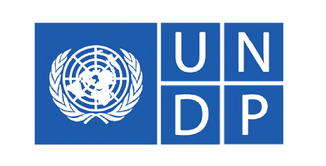Logo UNDP