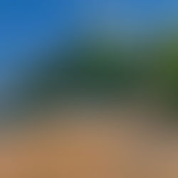 Discovering the Beauty of Diving in Koh Tao: A Paradise with a Complex Charm