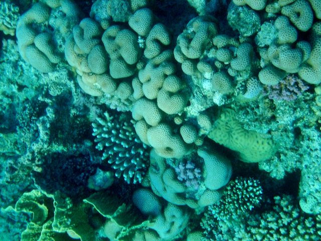 DSCN0237.JPG
