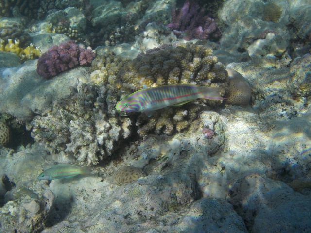 DSCN0258.JPG