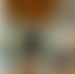 Divorce Lawyer Singapore: Trusted Legal Support for Your Divorce Case