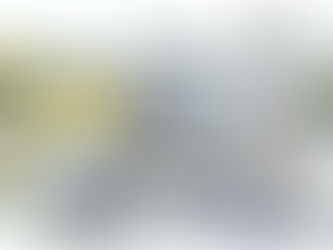 Auto Repair Services: Ensuring Your Vehicle’s Peak Performance