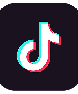 pngimg.com - tiktok_PNG26.png