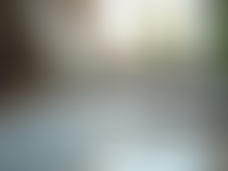 I only went and wrote a book!