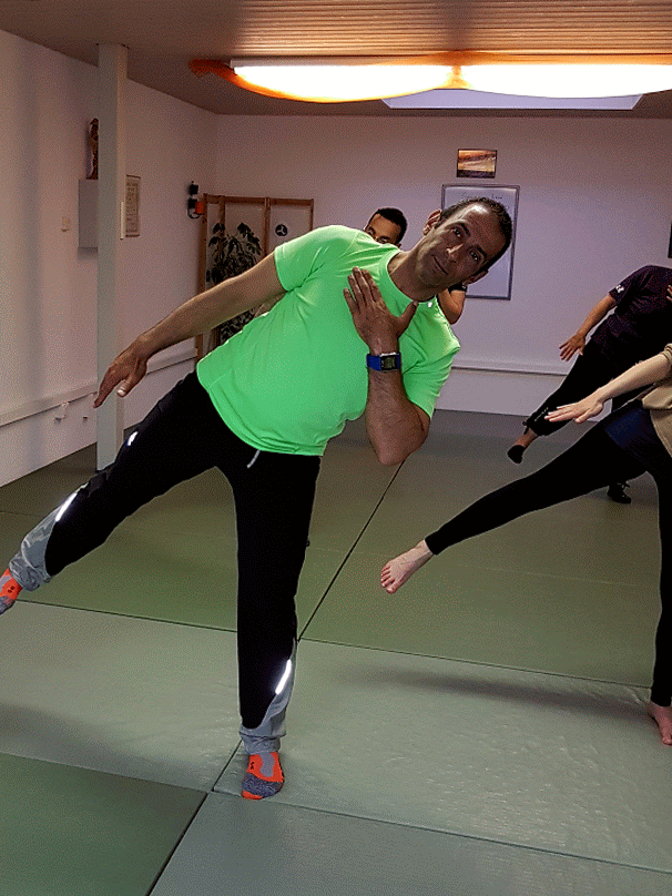 Gymnastique Énergétique: Les 12 Mouvements de Cuivre