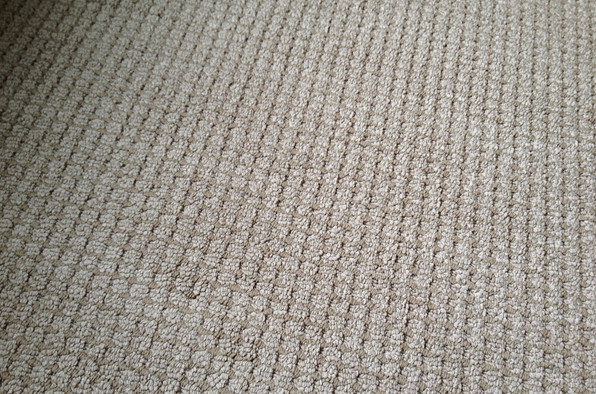 CARPET