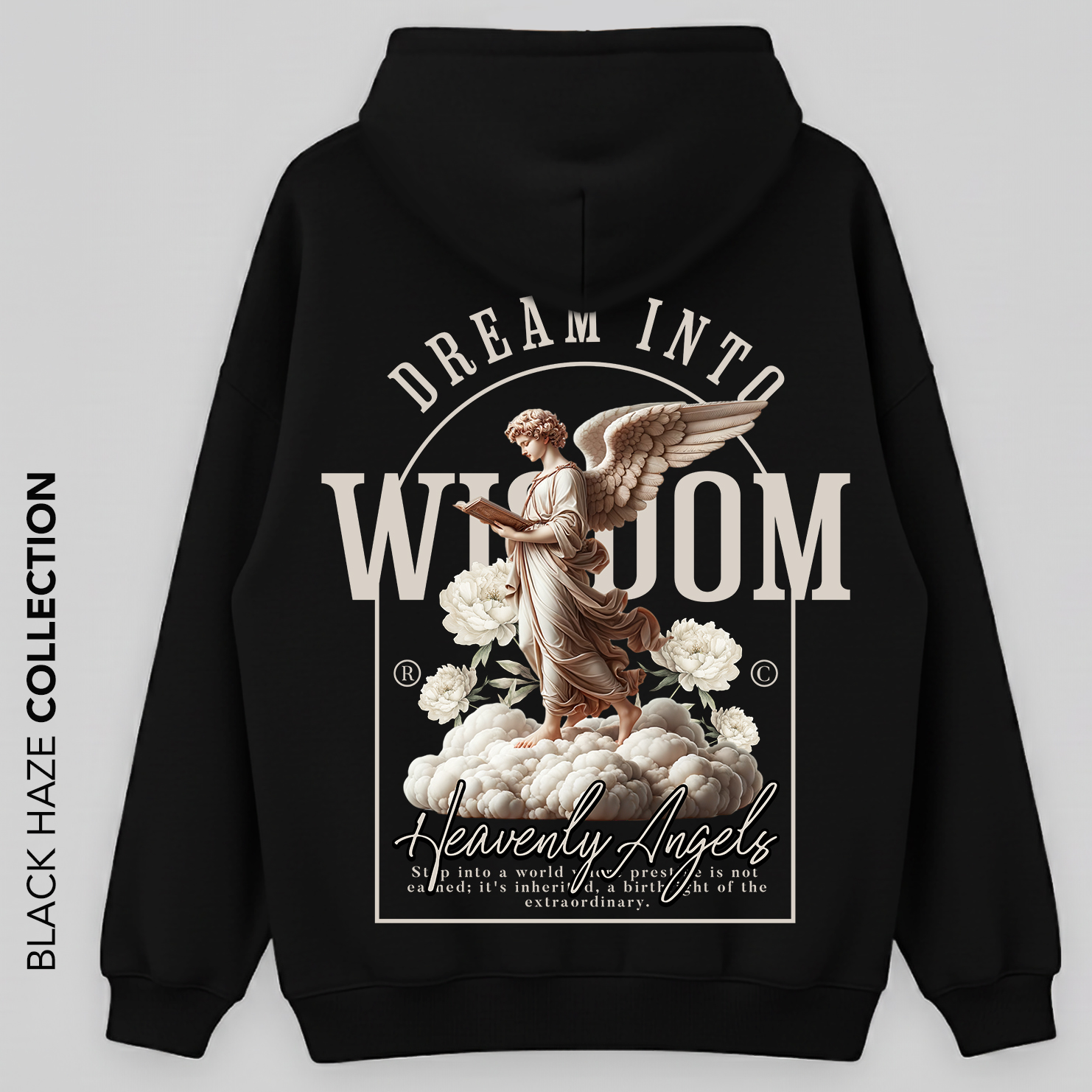 Hoodie Dream Into Wisdom