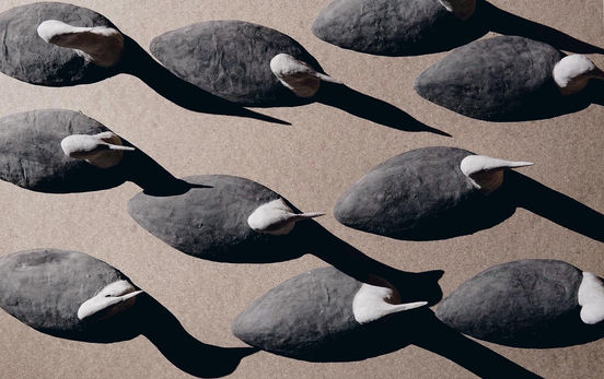 Bilden föreställer flera storlommar i fågelperspektiv.