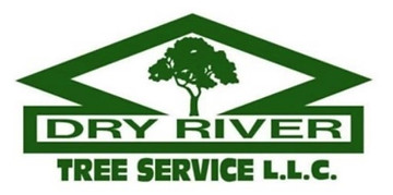 Dry River.jpg