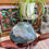 Thumbnail: Moss Agate Mighty Gems