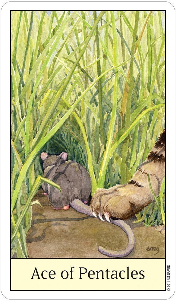 Thumbnail: Cat's Eye Tarot