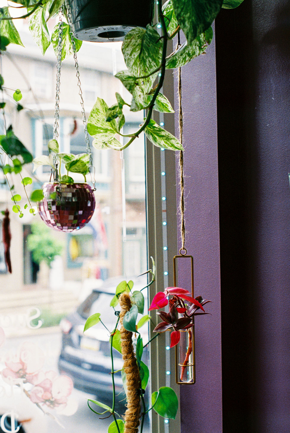 House of Flowers