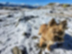 20240929_095821.jpg