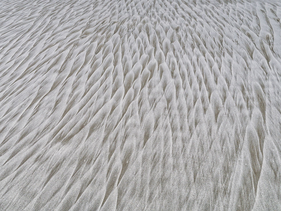 9 January 2025. Sand patterns at Brighton. We're walking on beaches - a different one a day, and in Dunedin, there are plenty to choose from.