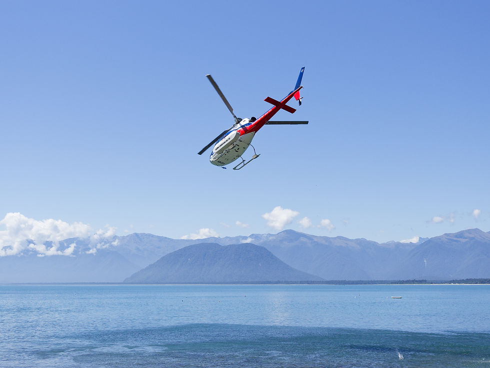Tuesday February 11 2025. Jacksons Bay, South Westland