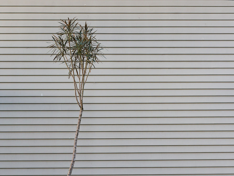 Sunday 22 June 2025. Lines