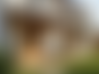 Porch Build Southampton, Porch Build Winchester, Porch Build Eastleigh, Porch Build Romsey, Porch Build Fareham, Porch Build Gosport, Porch Build Portsmouth, Porch Build Petersfield, Porch Build Hayling Island, Porch Build Chichester, Porch Build Totton, Porch Build New Forest, Porch Build Hythe, Porch Build Lyndhurst, Porch Build Brockenhurst, Porch Build Ringwood, Porch Build Salisbury, Porch Build Basingstoke, Porch Build Andover, Porch Build Amesbury, Porch Build Bournemouth, Porch Build Lymington, Porch Build Christchurch, Porch Build Bournemouth, Porch Build Poole, Porch Build Wimborne, Porch Build Ferndown, Porch Build Fordingbridge