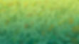 plastic_waste_green.jpg