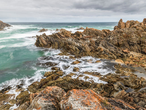 Tarkine in Tasmania